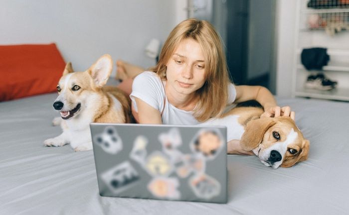 电脑如何录屏 电脑如何录屏