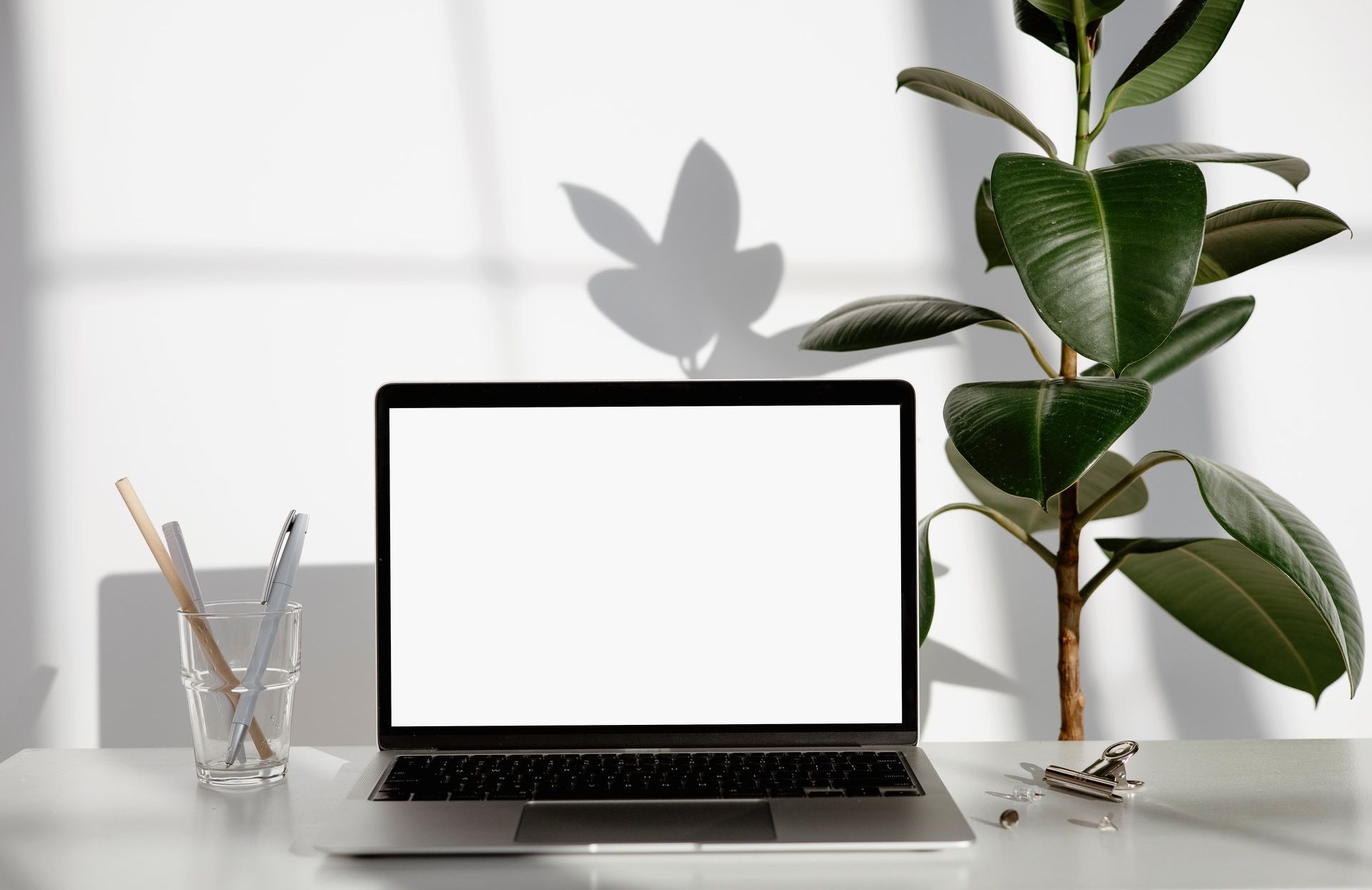 PDF怎么进行文字识别 PDF怎么进行文字识别