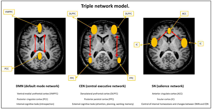 北京文档翻译软件哪个好？选择翻译大师在线翻译教程！