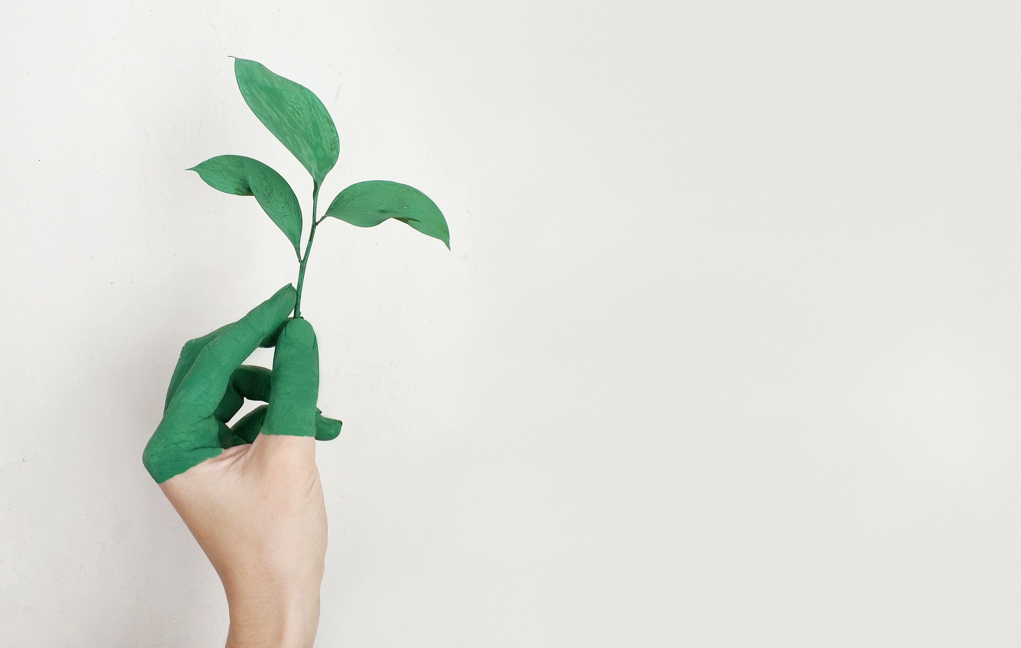 在线pdf格式转换器有哪些?PDF格式有什么优势?