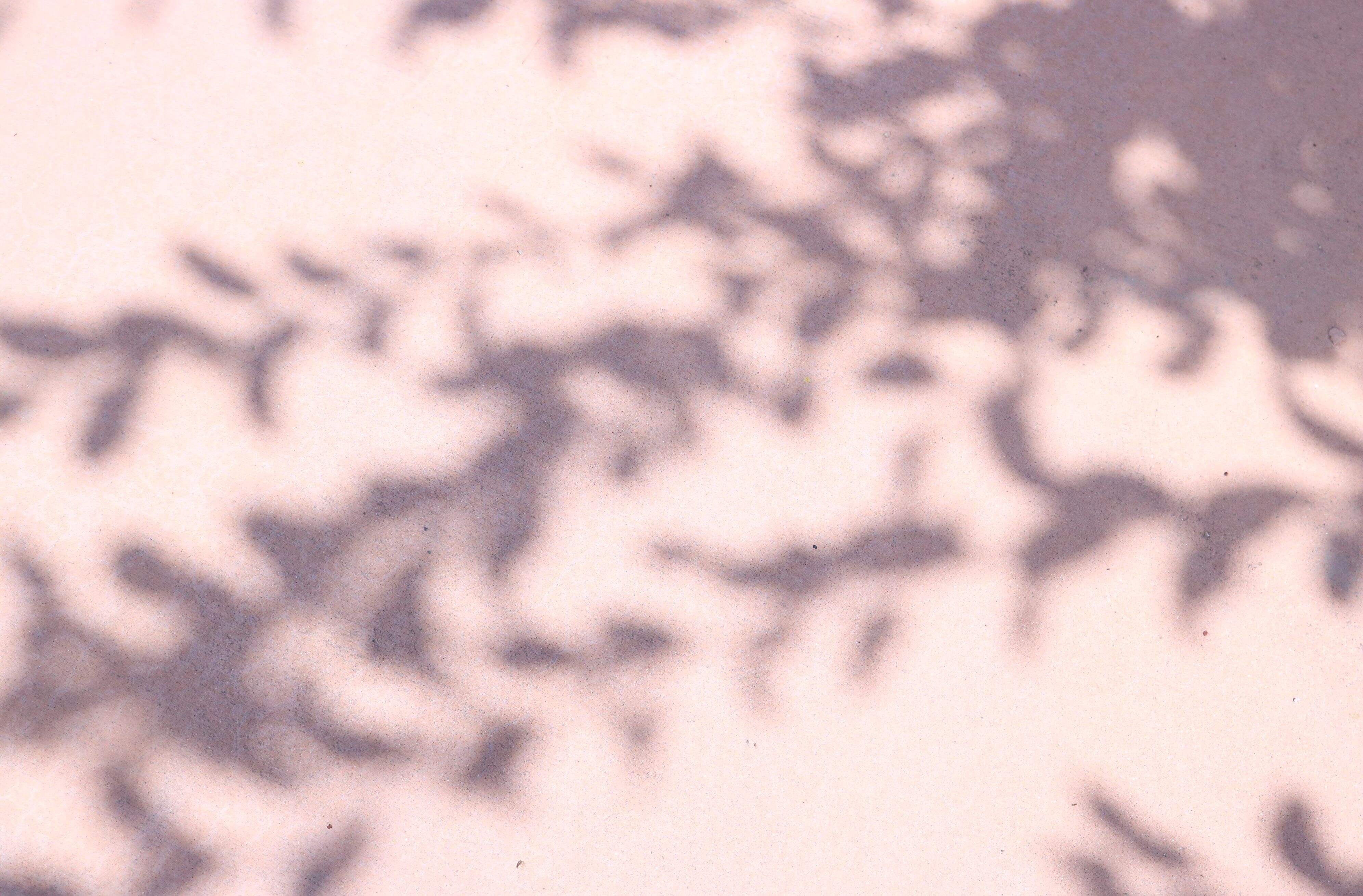 如何转换pdf格式成word格式？如何转换pdf格式成ppt格式