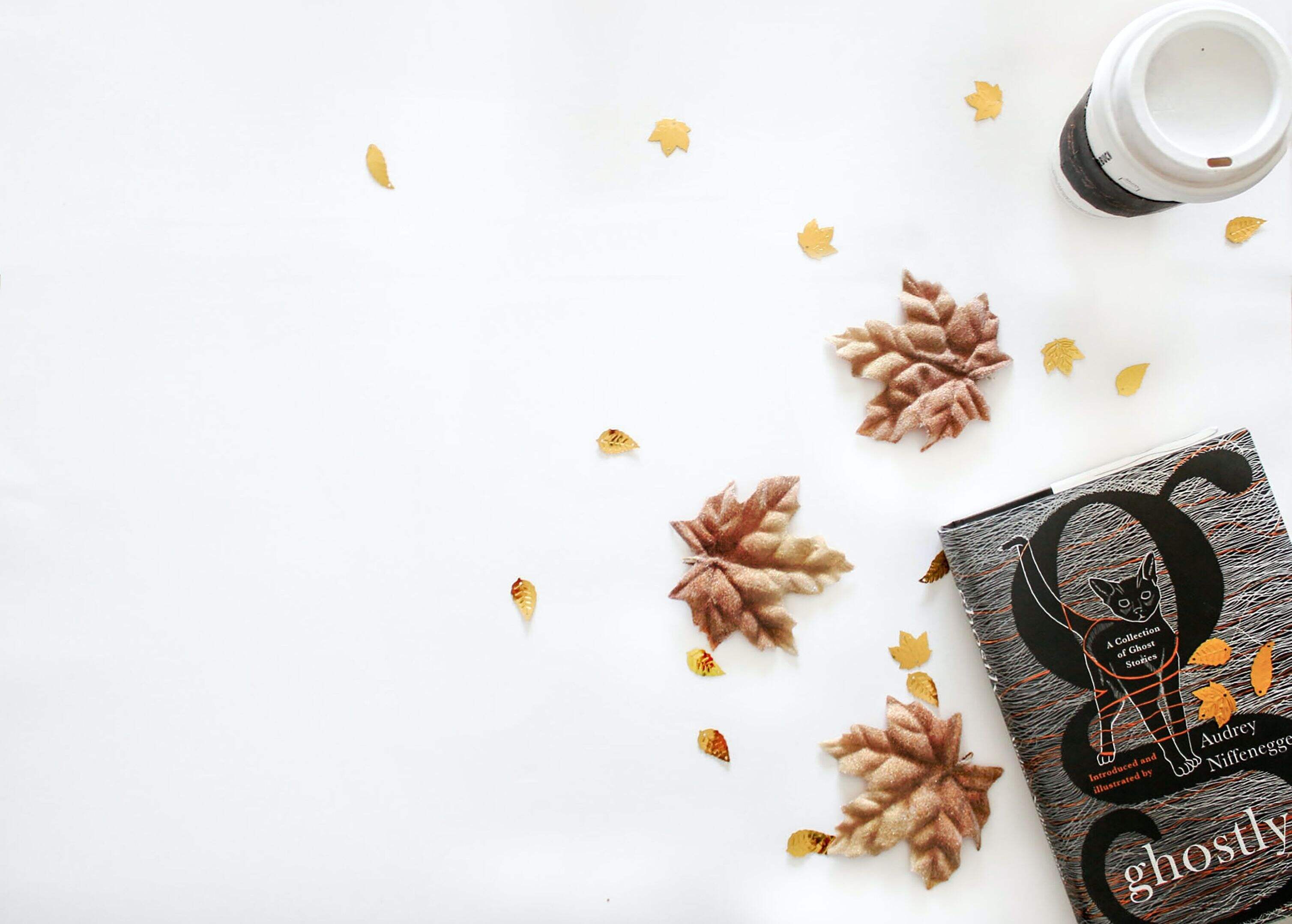 在线pdf转换成word后如何进行翻译