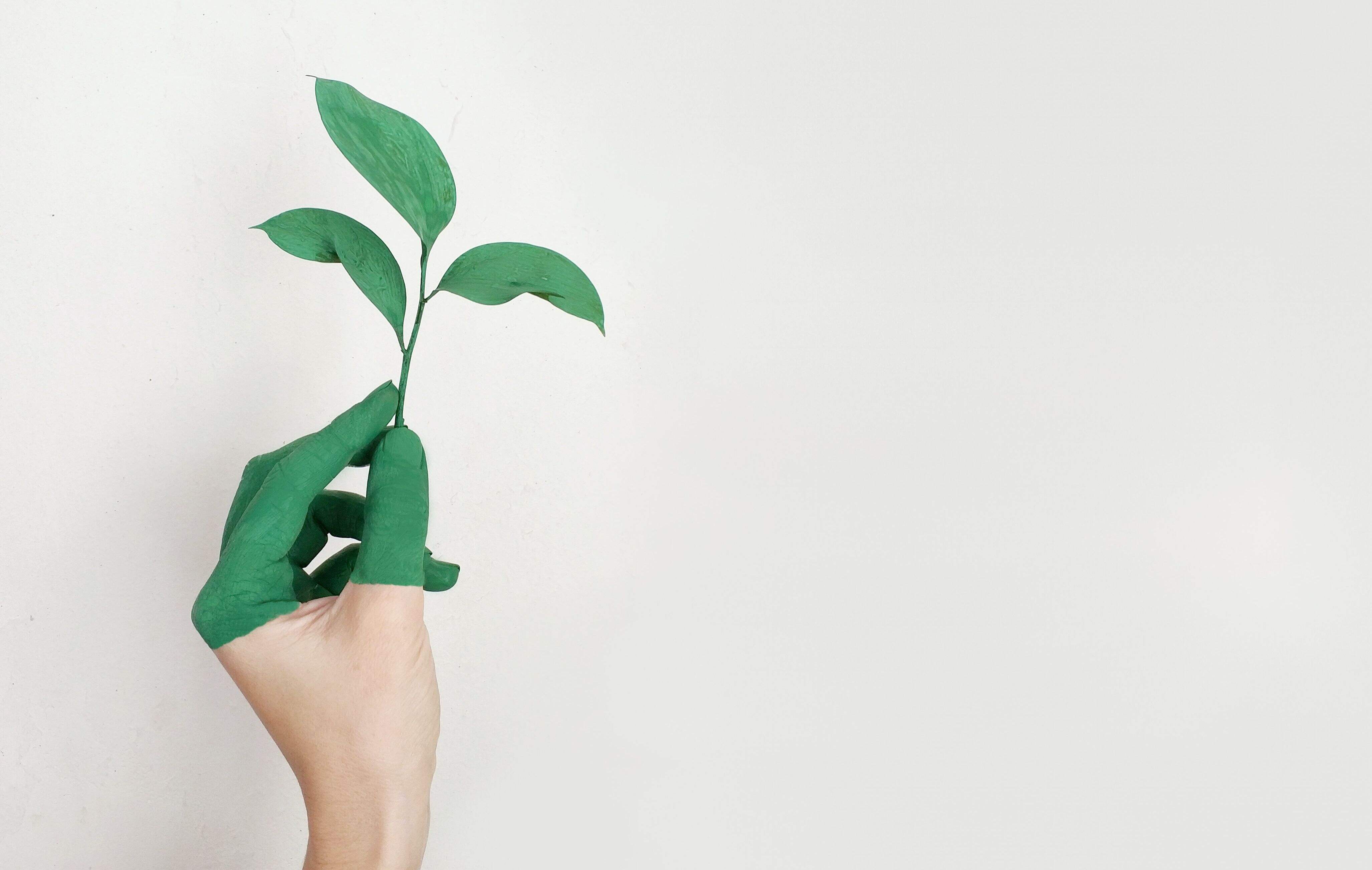 pdf阅读器打印时系统死机的原因是什么?PDF打不开为啥?