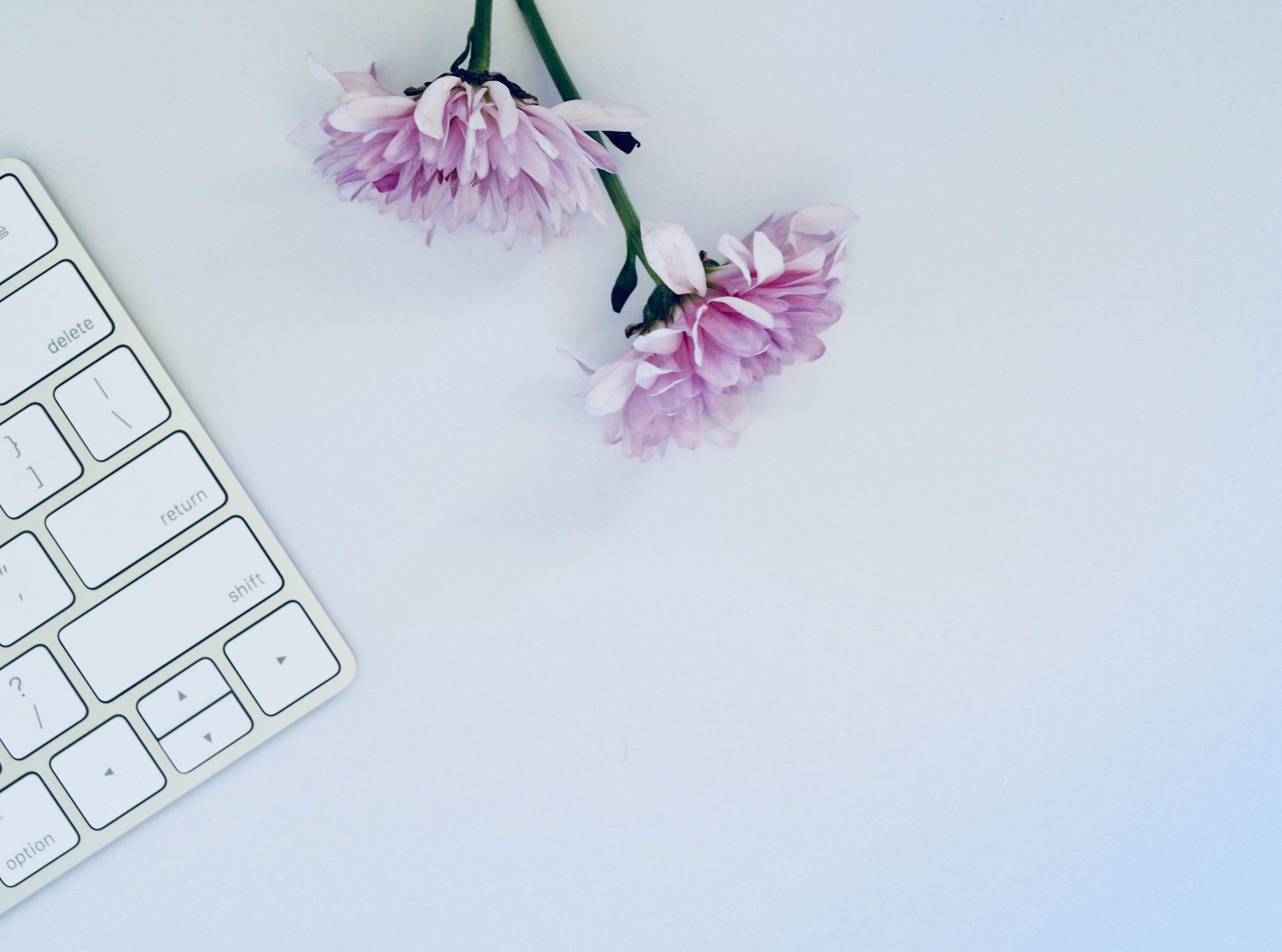 pdf阅读器怎么看试用期?会员有什么特权?