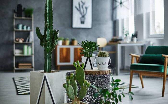 pdf的文件怎么编辑?给pdf设置页码有哪些方法