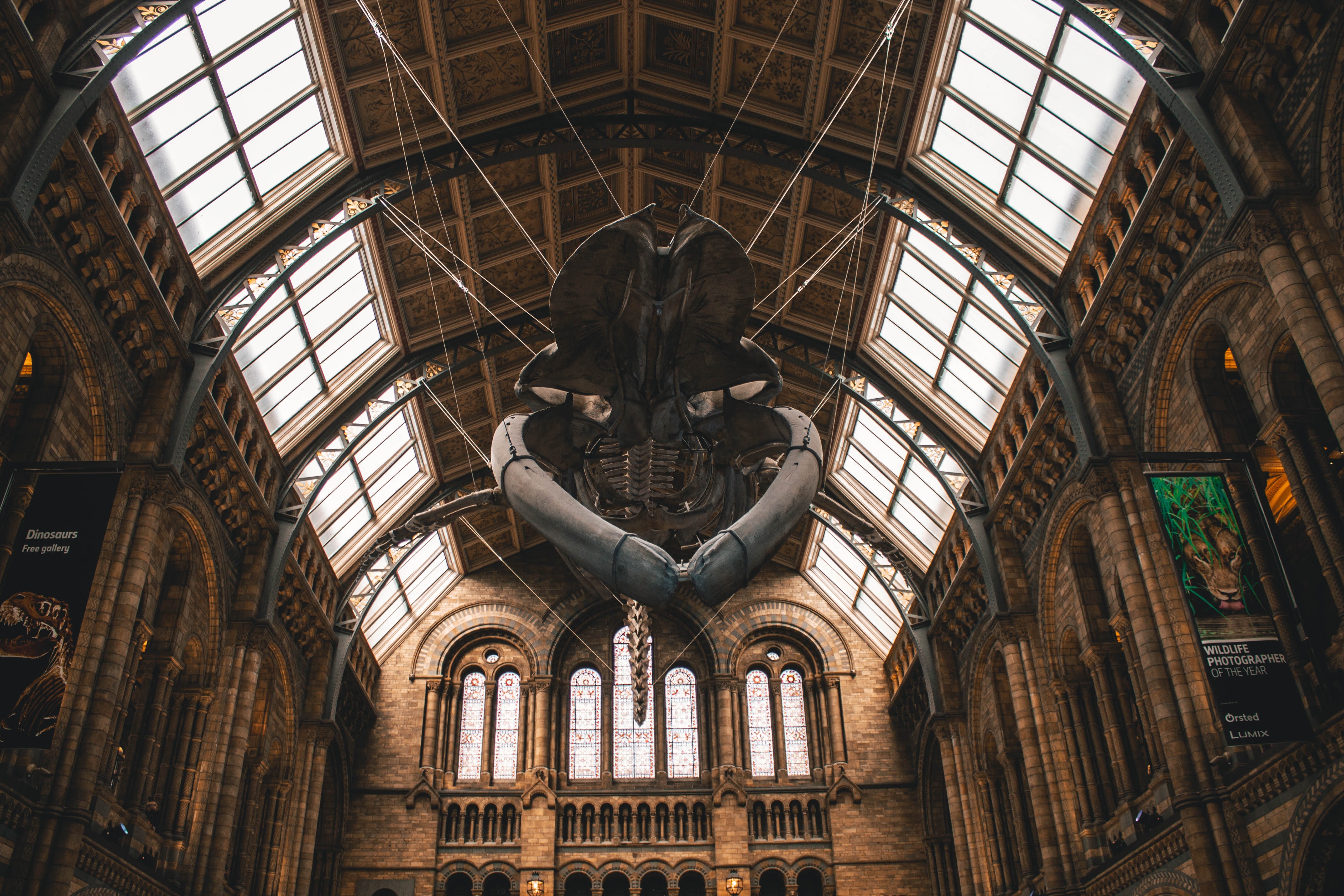 如何在pdf中插入日期？