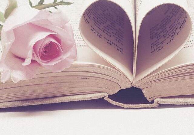 PDF编辑工具书推荐,高级PDF编辑器测量工具在哪里