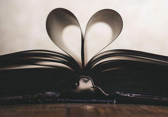 pdf文档编辑工具软件有那种?高级PDF编辑器工具栏不显示如何调整?