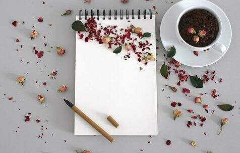 杂志pdf免费下载以及高级pdf编辑器编辑文本内容