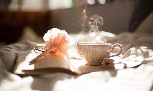 免费pdf杂志下载,来试试高级PDF编辑器吧