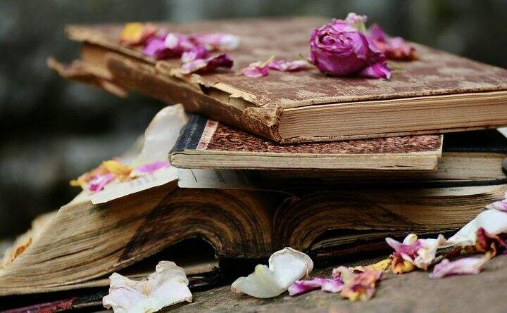 pdf 免费编辑器怎么把文件转成图片?高级PDF编辑器如何把图片转成文件?