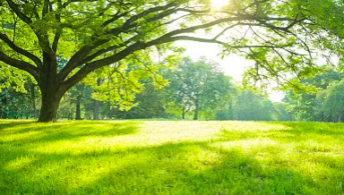 高级pdf编辑器的特色有什么?pdf由什么技术组成?