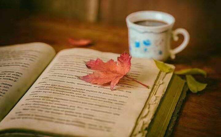 免费pdf转换软件是什么 来试试高级PDF编辑器吧?