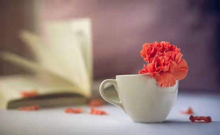 高级PDF编辑器使用方法有什么?如何给PDF文档自动生成目录?