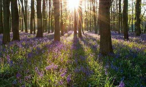 最强pdf编辑工具具有哪些功能?高级PDF编辑器有哪些绘图工具?