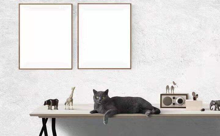 pdf编辑工具的讲解教程有什么内容?高级PDF编辑器有哪些编辑工具?