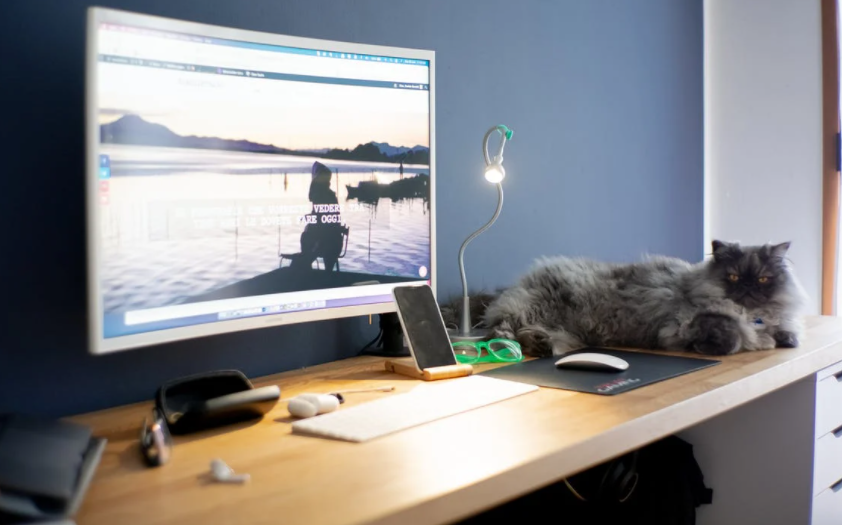 高级PDF编辑器的功能特点有哪些？怎么将pdf转换成excel？