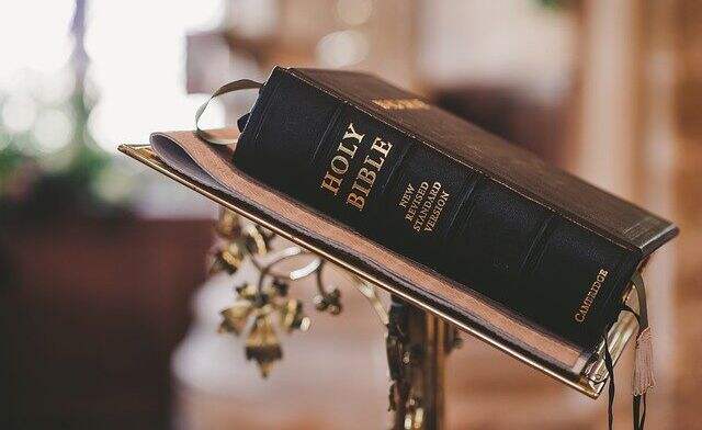 如何隐藏高级PDF编辑器的工具栏？pdf文件如何修改页边距？