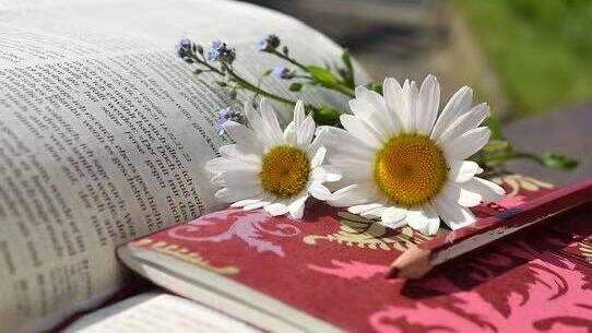 破解版pdf编辑工具有哪种?高级PDF编辑器的使用方法有哪些?