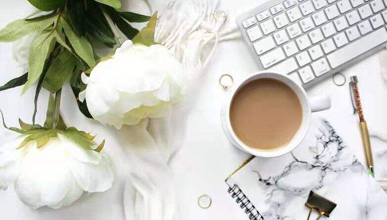 pdf编辑工具密码怎么加?高级PDF编辑器好用吗