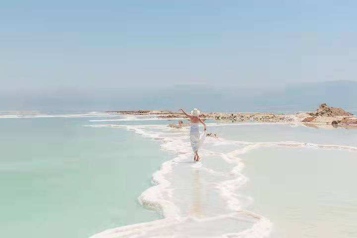 怎么将pdf用cad编辑工具进行编辑呢?高级PDF编辑器教你