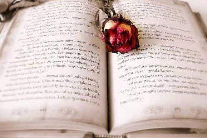 高级PDF编辑器可复制粘贴 pdf编辑工具的复制粘贴功能你会用吗