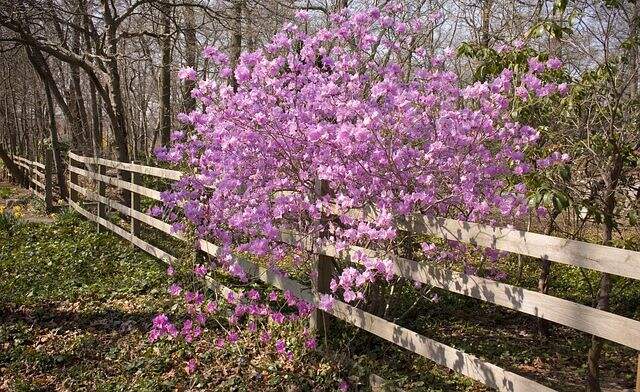 怎么做到高亮pdf文档中的部分区域呢？试试高级PDF编辑器吧！