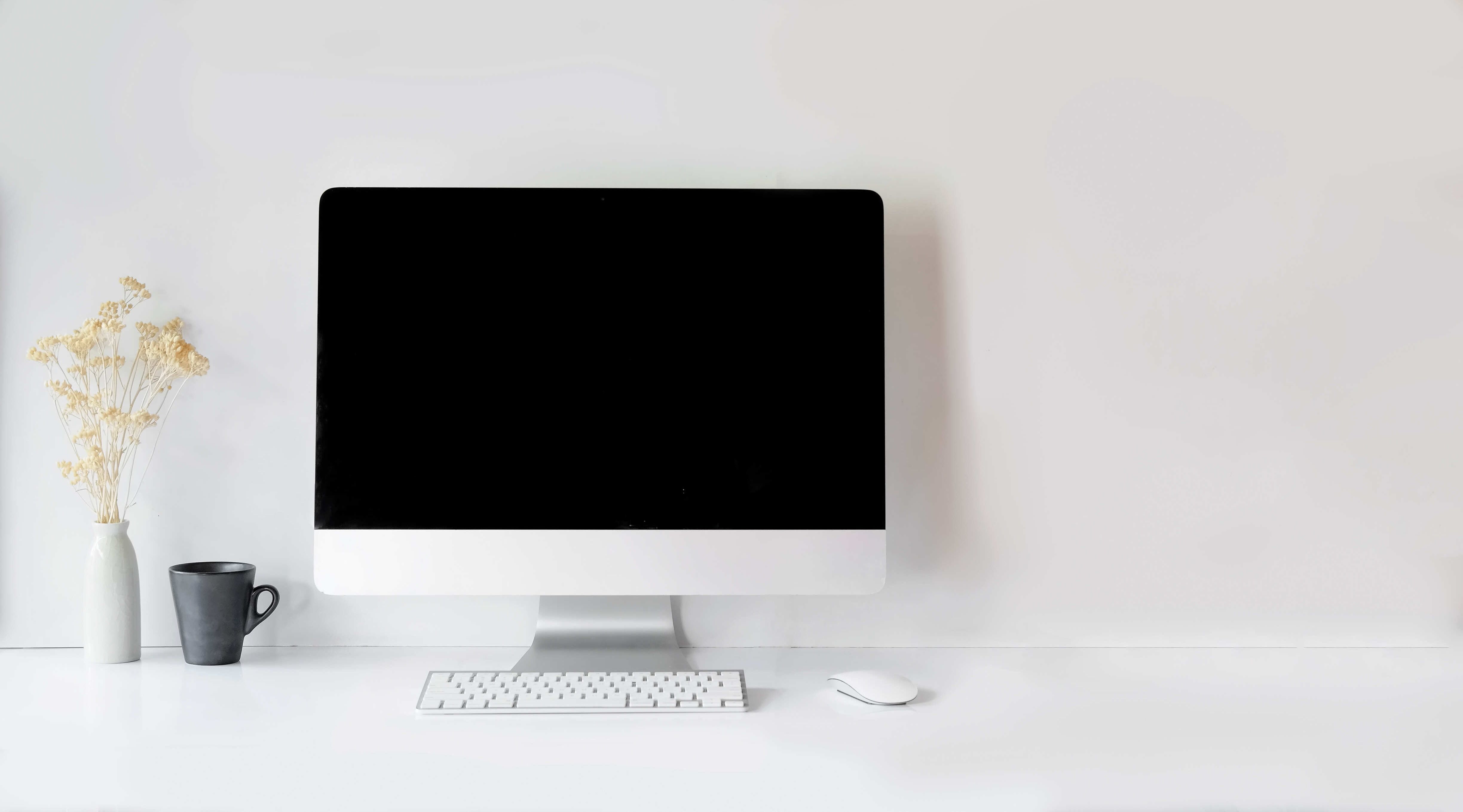 pdf免费下载简历模板