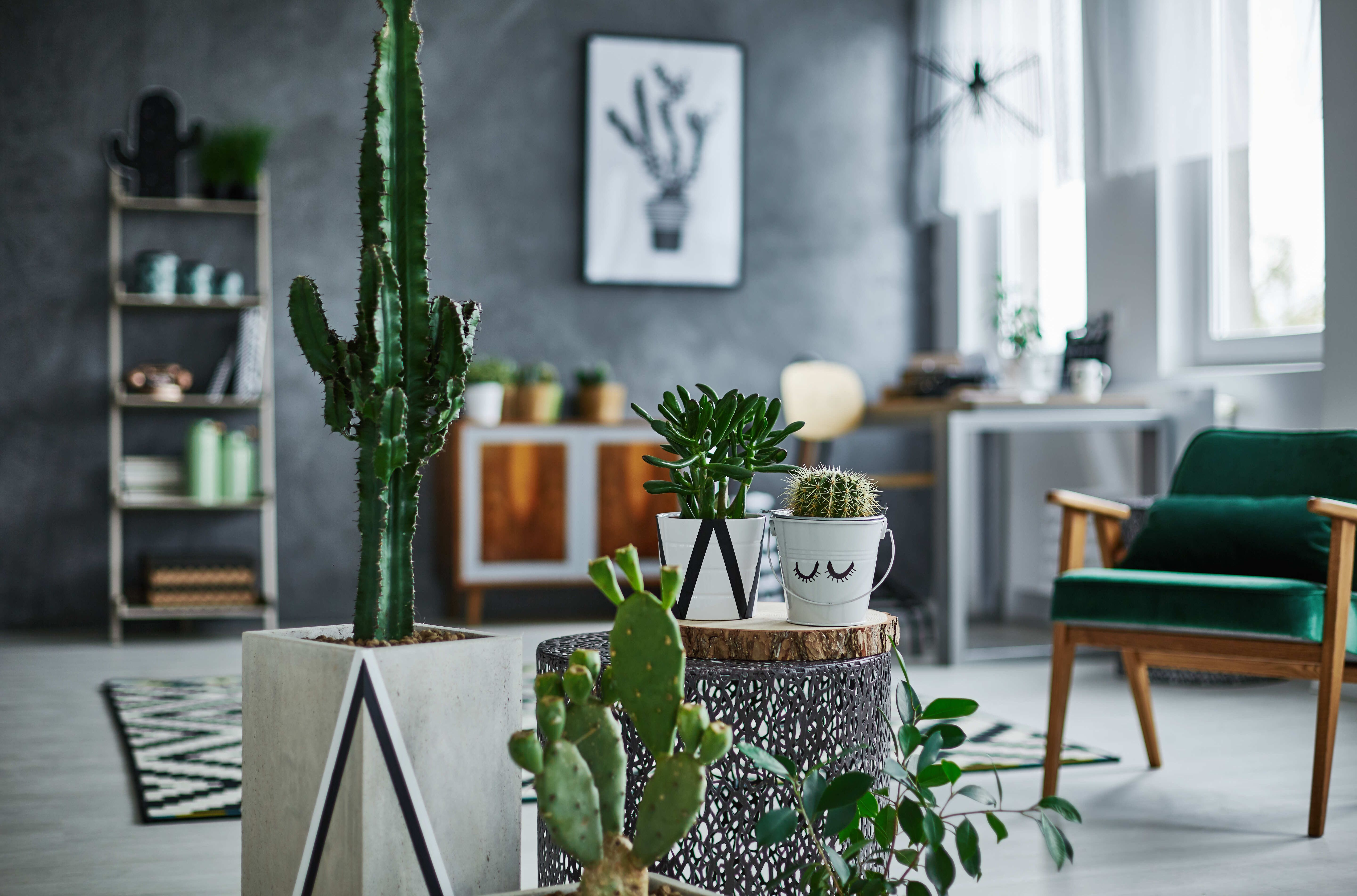 pdf文档如何降低大小？高级PDF编辑器压缩pdf的方法介绍？