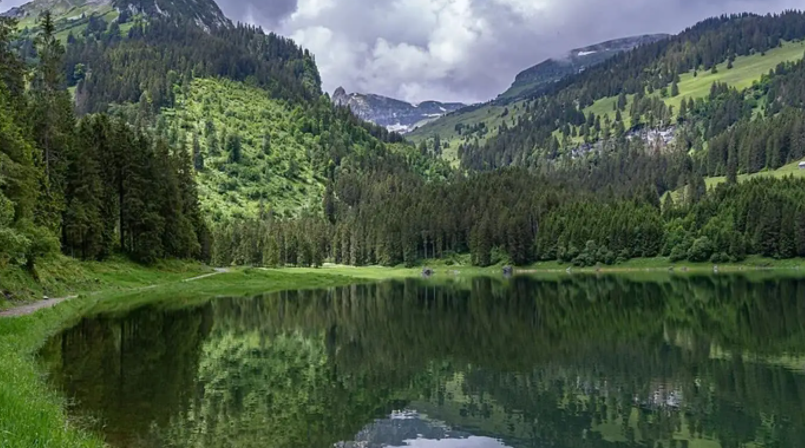 手机强大的扫描功能如何实现证件扫描？