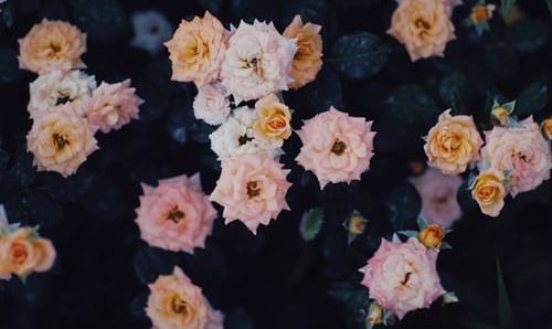 不会打印ofd文件?ofd阅读器可以解决!