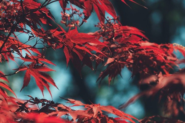 怎样在pdf上面加水印？新手操作指南