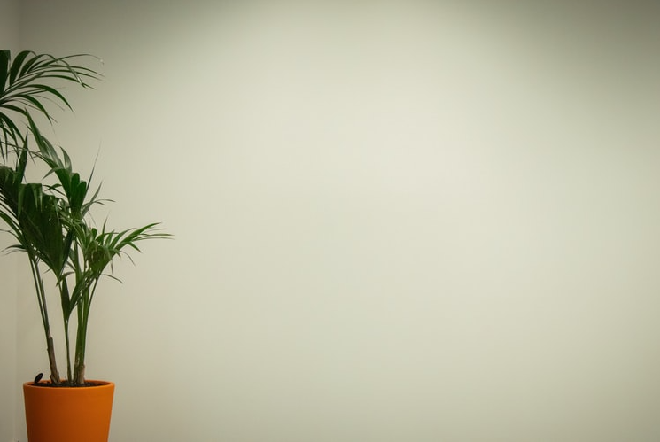 PDF中任意插入超链接怎么办?怎么在PDF中任意插入超链接？