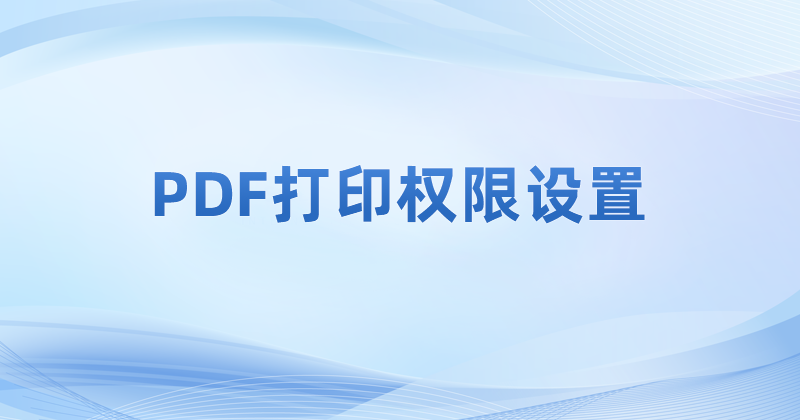 如何查看PDF打印设置参数?pdf预览文件打印效果怎么查看?